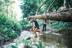 BIB: 
                            <button type="button" onclick="openModal(25434789)" class="btn btn-primary btn-sm float-right btn-popup" data-toggle="modal" data-target=".modal-high-quality">
                        <i class="fas fa-shopping-cart"></i> Add to Cart
                    </button>
                                            <button type="button" onclick="isThisMe(25434789, true)" class="btn btn-success btn-sm float-right btn-popup btn-isme hidden" data-toggle="tooltip" data-placement="bottom" title="นี่คือรูปของคุณใช่ไหม คลิกที่นี่เพื่อเอาเข้าอัลบั้ม">
                        <i class="fas fa-plus"></i> Add to album
                    </button>
                    <button type="button" onclick="isThisMe(25434789, false)" class="btn btn-warning btn-sm float-right btn-popup btn-isnotme hidden">
                        <i class="fas fa-ban"></i> Remove from album
                    </button>